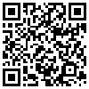 QR Code Handyversion