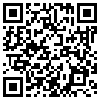 QR Code Handyversion