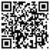 QR Code Handyversion