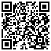 QR Code Handyversion