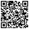 QR Code Handyversion