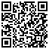 QR Code Handyversion