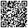 QR Code Handyversion