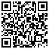 QR Code Handyversion