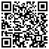 QR Code Handyversion