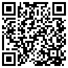 QR Code Handyversion