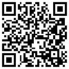 QR Code Handyversion