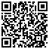 QR Code Handyversion