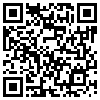 QR Code Handyversion