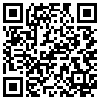 QR Code Handyversion