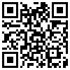 QR Code Handyversion