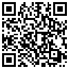 QR Code Handyversion
