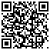 QR Code Handyversion