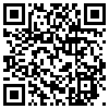 QR Code Handyversion