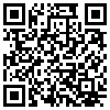 QR Code Handyversion