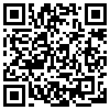 QR Code Handyversion