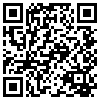 QR Code Handyversion