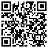 QR Code Handyversion