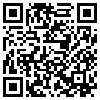 QR Code Handyversion