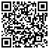 QR Code Handyversion