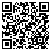 QR Code Handyversion