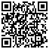 QR Code Handyversion