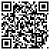 QR Code Handyversion