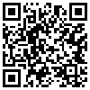 QR Code Handyversion