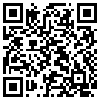 QR Code Handyversion