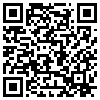 QR Code Handyversion