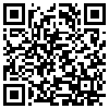 QR Code Handyversion