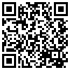 QR Code Handyversion