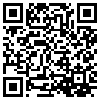 QR Code Handyversion