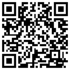 QR Code Handyversion