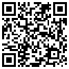 QR Code Handyversion