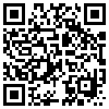 QR Code Handyversion