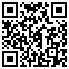 QR Code Handyversion