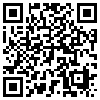 QR Code Handyversion