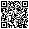 QR Code Handyversion