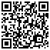 QR Code Handyversion