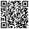 QR Code Handyversion