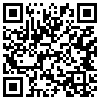 QR Code Handyversion