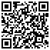 QR Code Handyversion