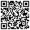 QR Code Handyversion