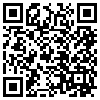 QR Code Handyversion