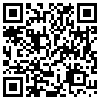 QR Code Handyversion