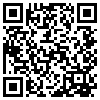 QR Code Handyversion