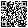 QR Code Handyversion