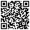 QR Code Handyversion