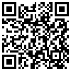 QR Code Handyversion